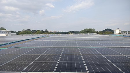 節能減碳！西迪光伏發電項目落成 點亮綠色低碳之路